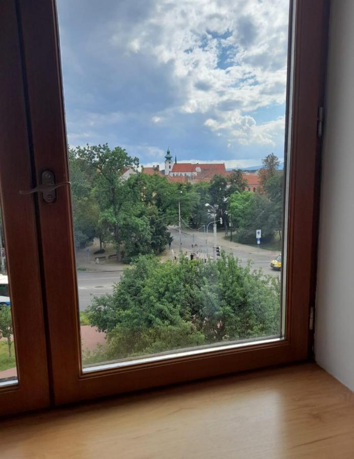 Apartment Riegrova *