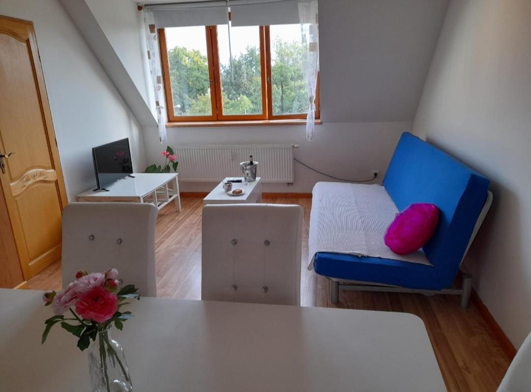 Riegrova Ceske Budejovice